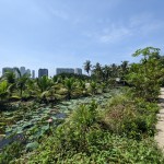 Biệt thự vườn tuyệt đẹp Thanh Đa, 6.5x24m chỉ 7.5 tỷ